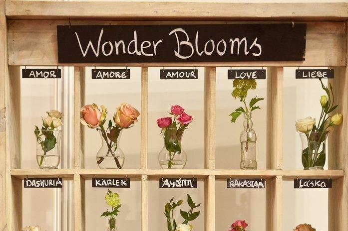 Wonder Blooms