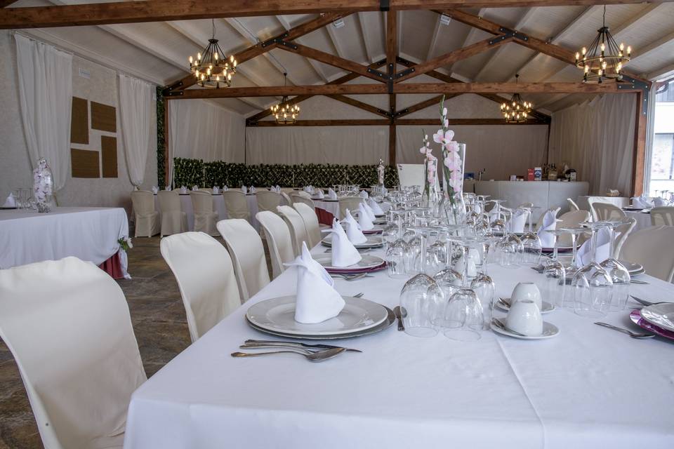 Comedor patio orquideas