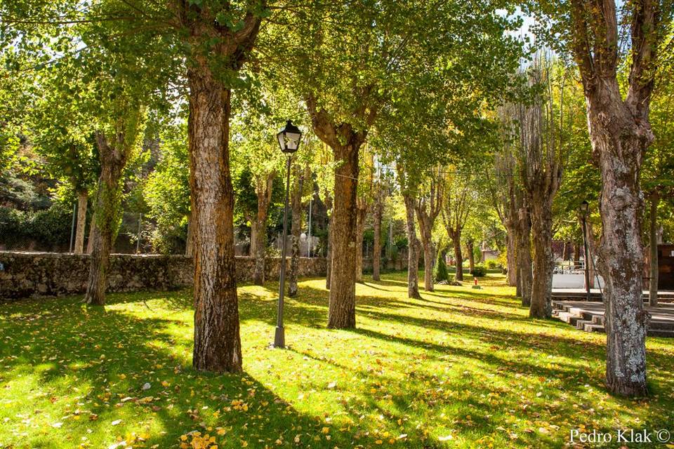 12. 000 m cuadrados de jardines