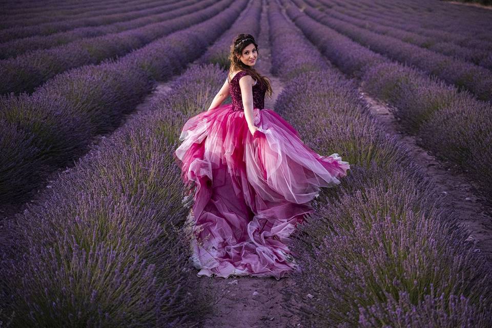 LAVANDA