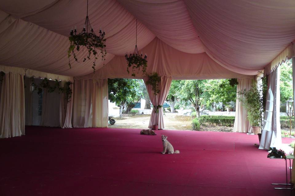 Carpa para banquete