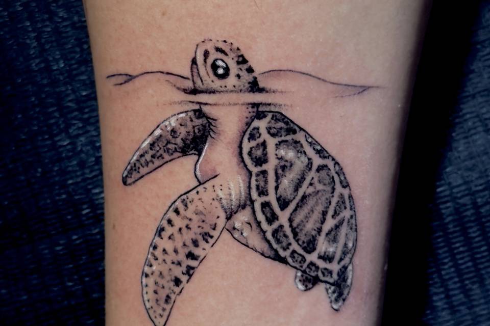 Tortuga