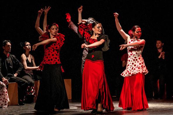 Show flamenco