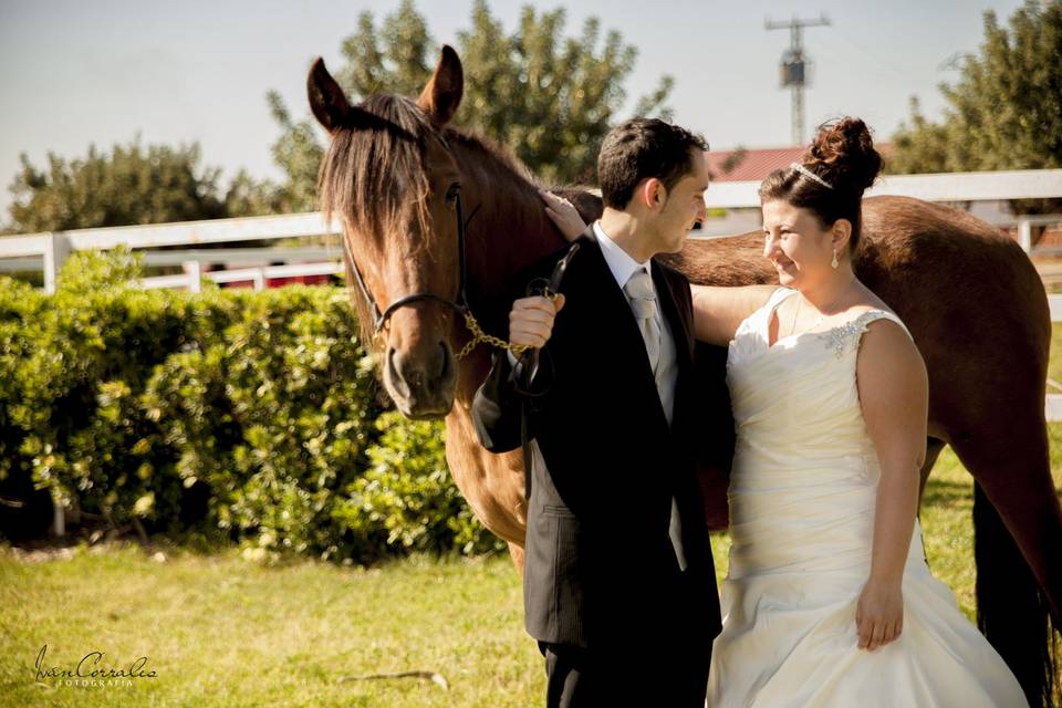 Postboda