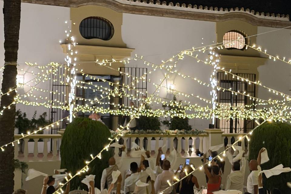 Banquete top