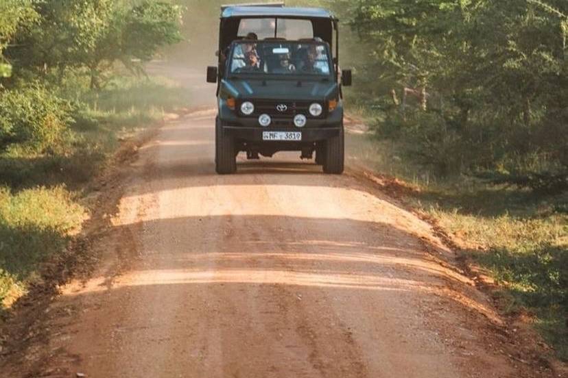 Safari, el amor por viajar