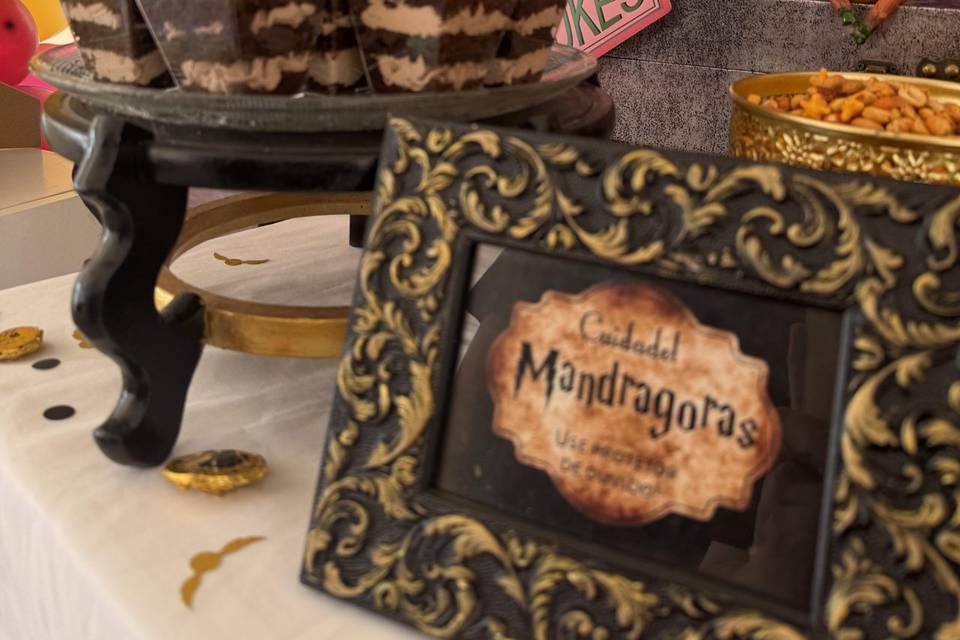 Mandrágora