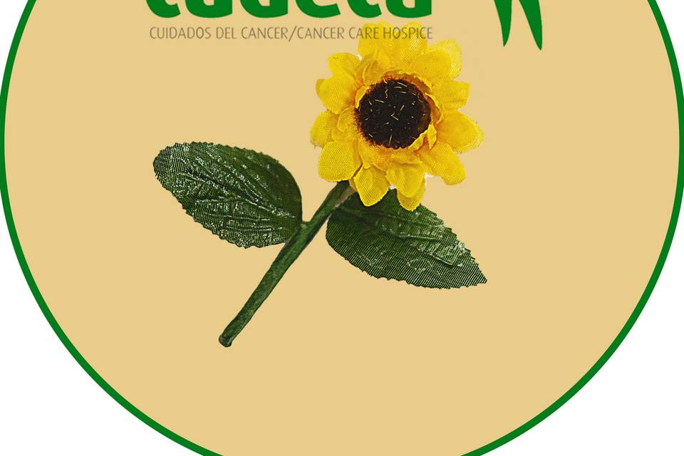 Logo cudeca
