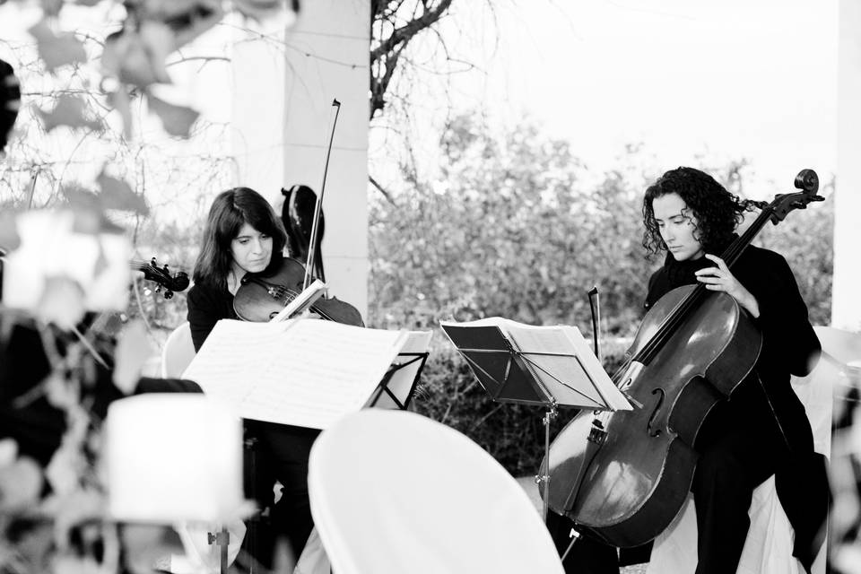 Cello y viola