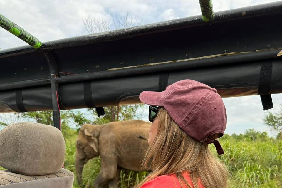 Safari en Sri Lanka