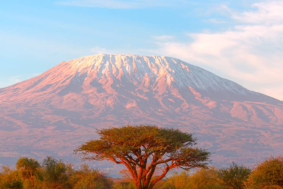 Kilimanjaro