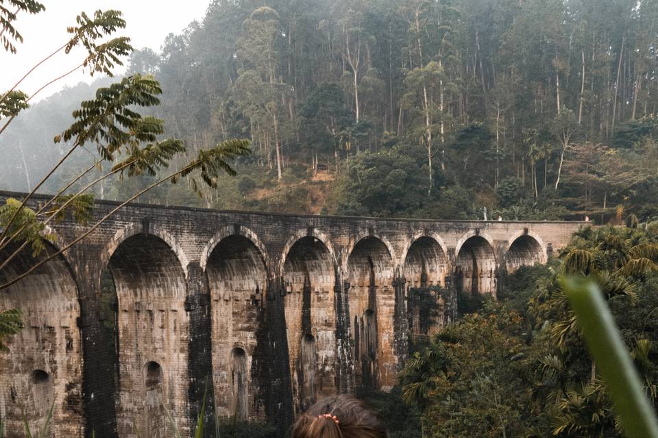 Tren de Sri Lanka