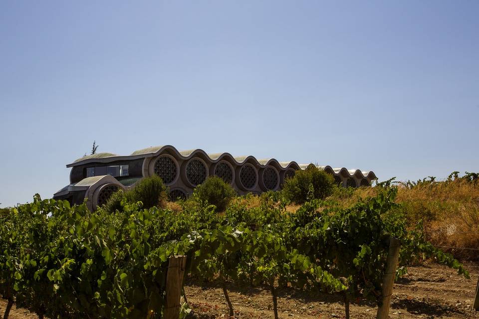 Mastinell Cava&Hotel