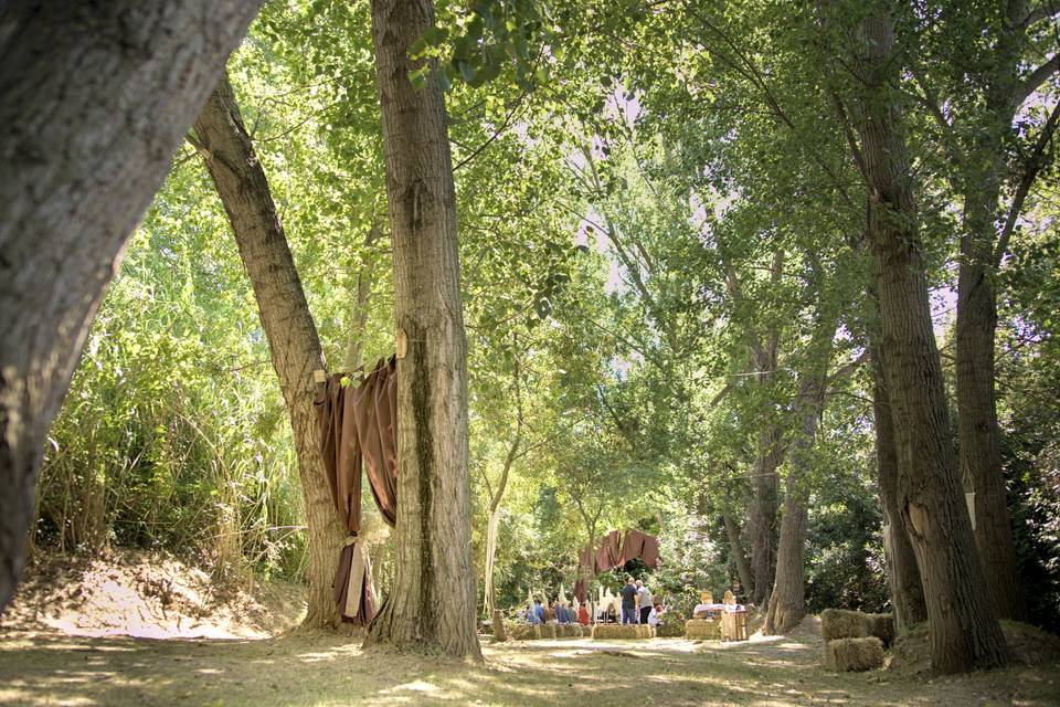 Ceremonia en el bosque