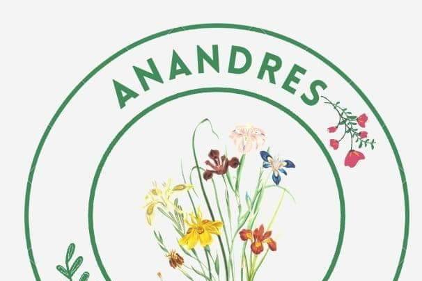 Anandres