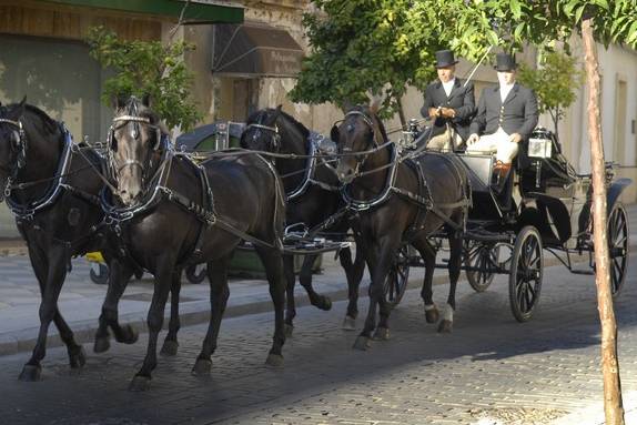 Bodas Jerez