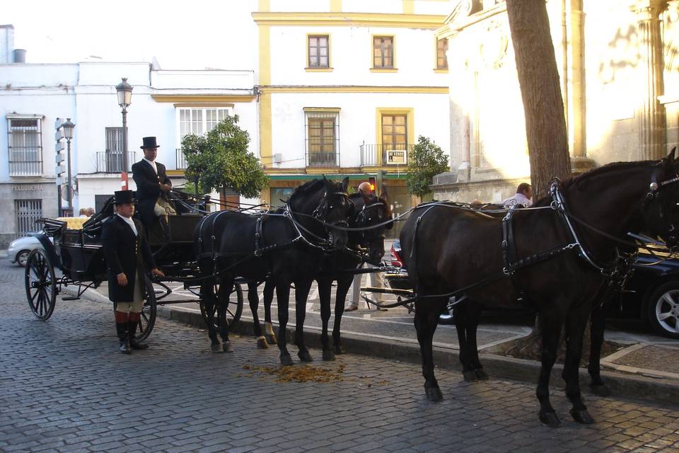 Coche de caballos