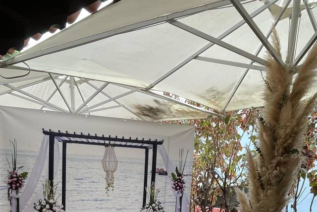 Bodas