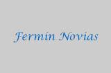 Logoferminnovias