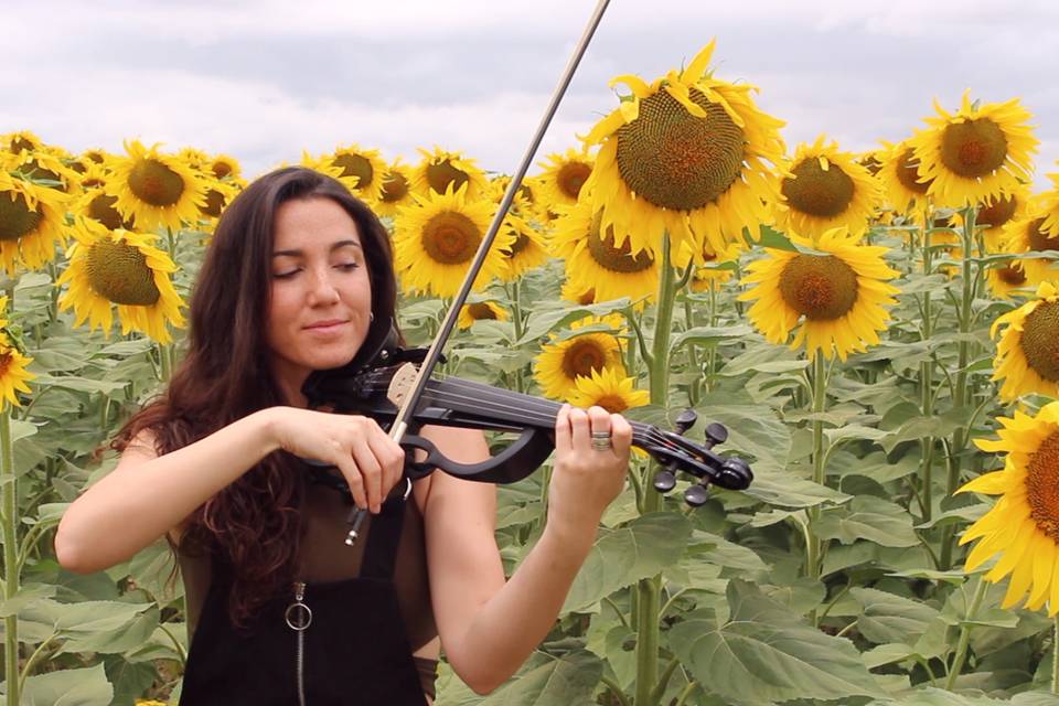 Laura Castillo - Violinista