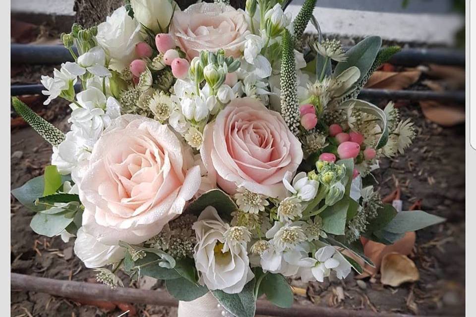 Floristería Las Camelias - Consulta disponibilidad y precios