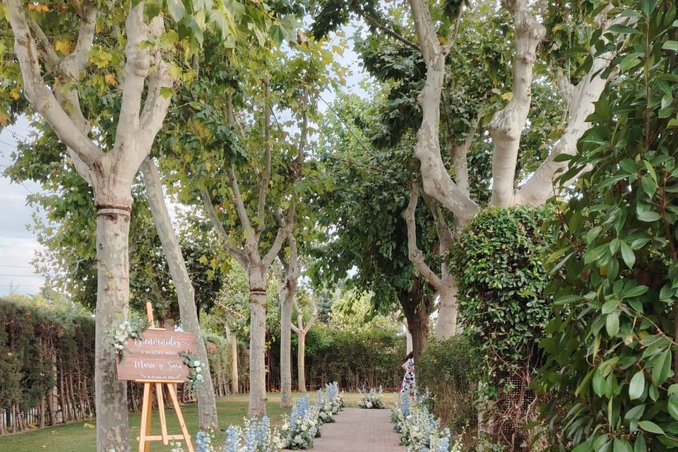 Pasillo floral