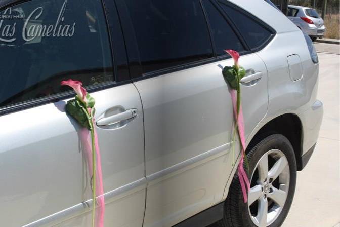 Decoración para el coche