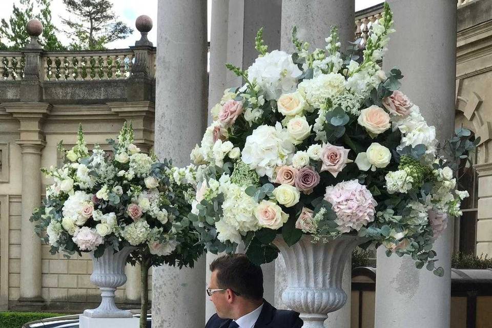 Floristería Las Camelias