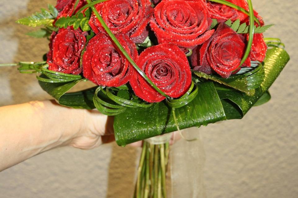 Rosas rojas