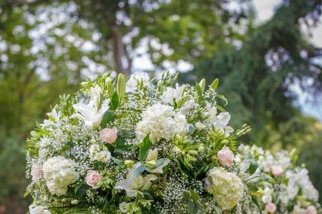 Floristería Las Camelias