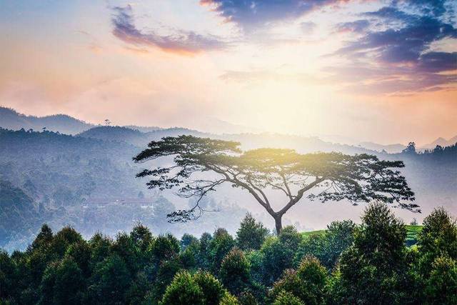 África