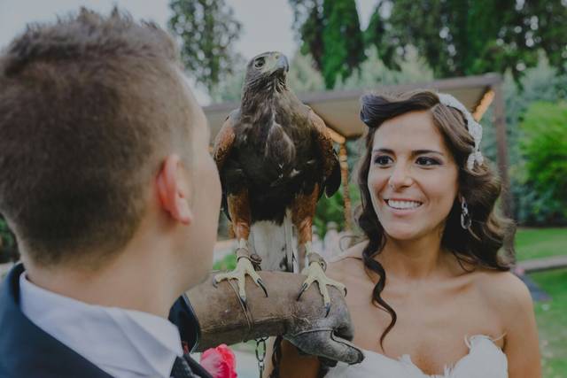 Rapaces para bodas