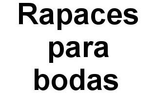 Rapaces para bodas logo