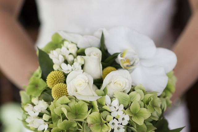 Ramo hortensia