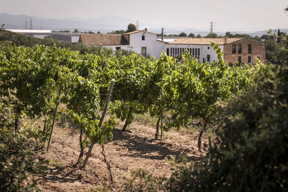 Bodegas Ca n'Estella