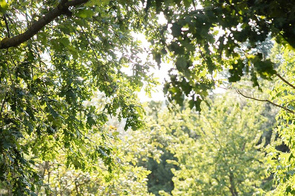 Novios en el Celler