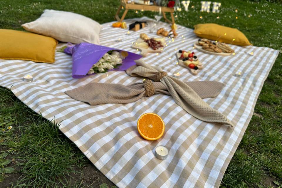 Pedida picnic