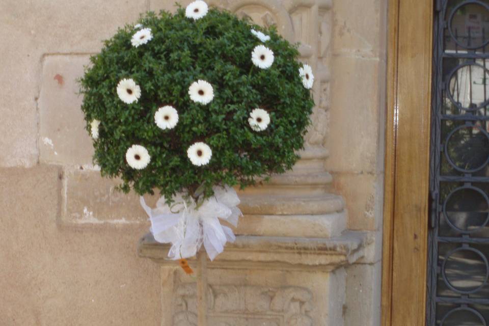 Buxus decorado para la entrada