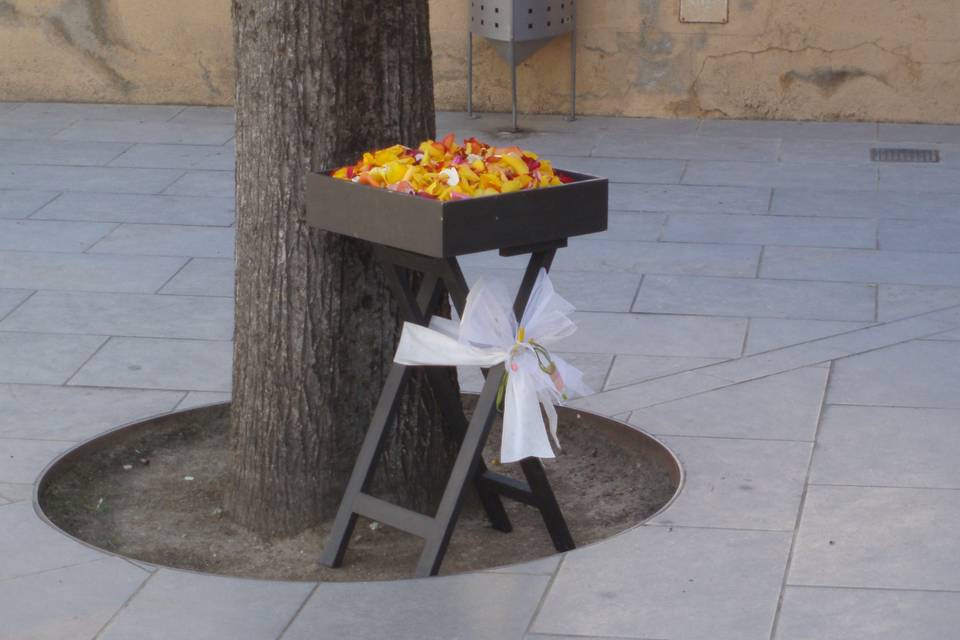 Buxus decorado para la entrada