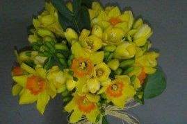 Bouquet de narcisos