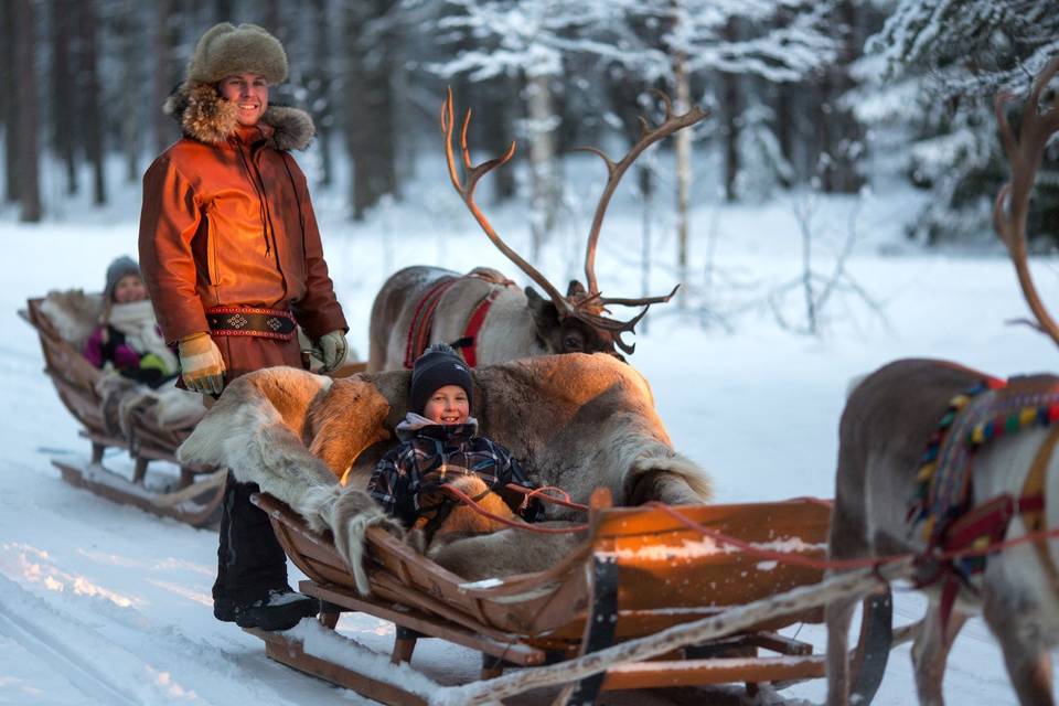 Actividad con renos en Laponia