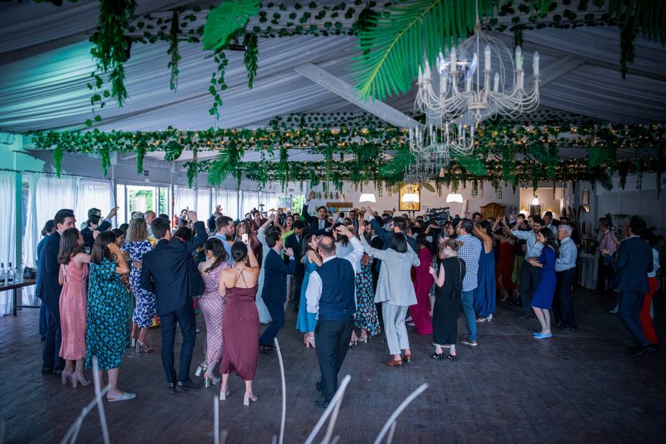 Novios en el salón