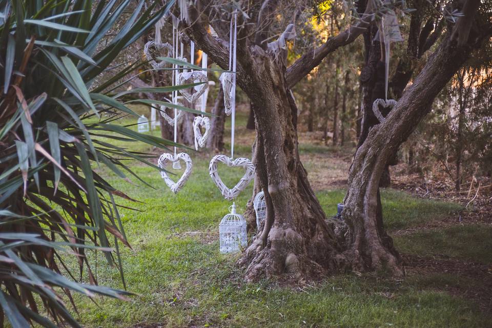 Ceremonia en los olivos