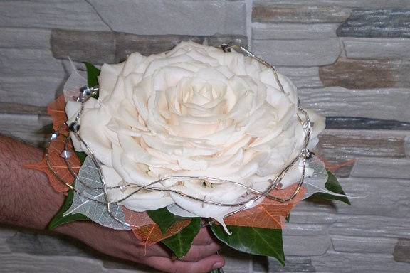 Rosmelia de rosas blancas