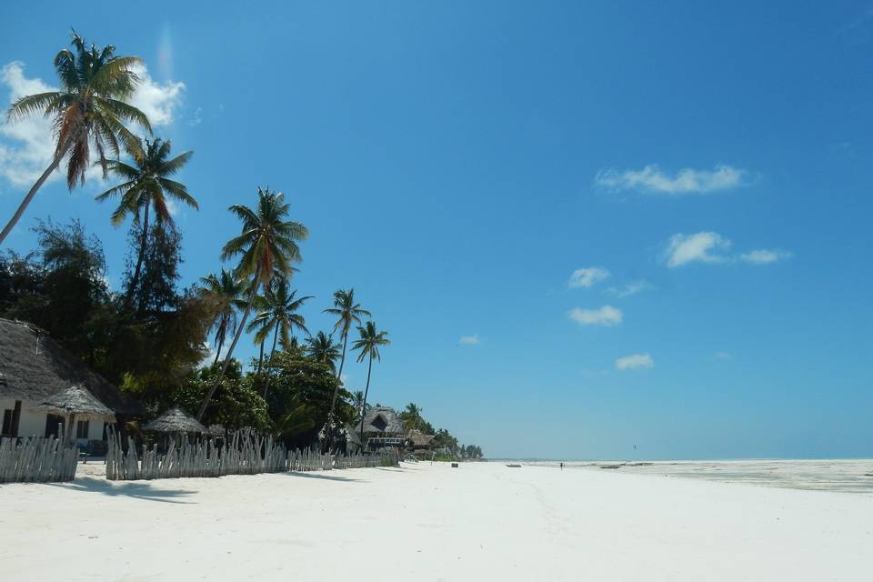 Playa Zanzibar