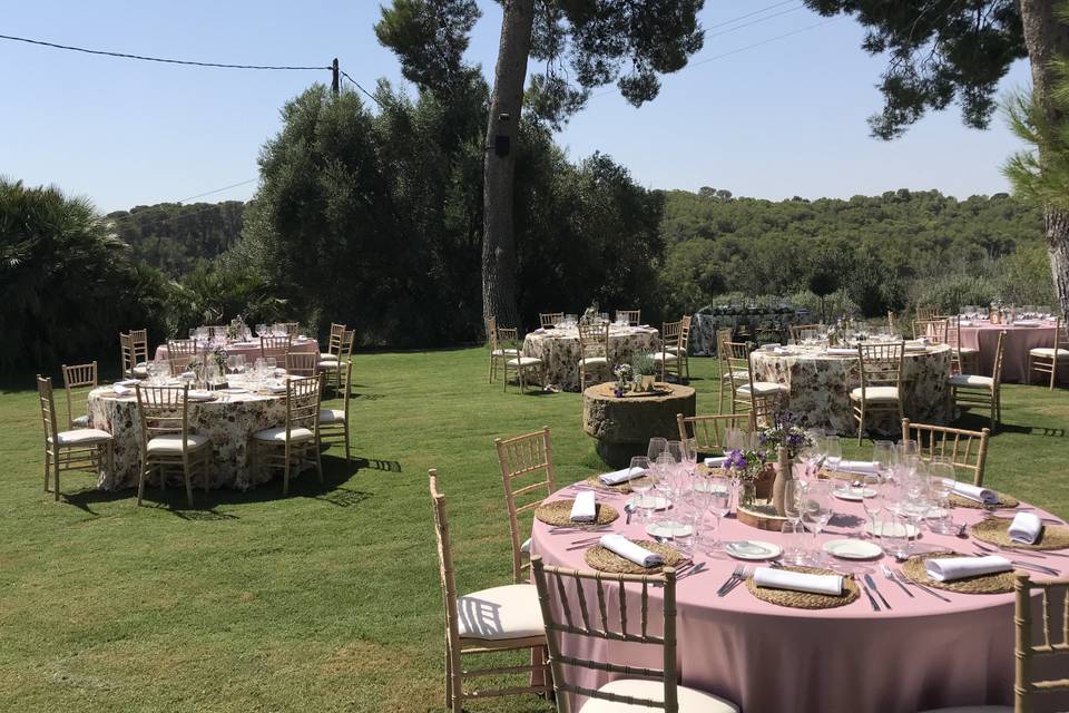 Cena en el jardin