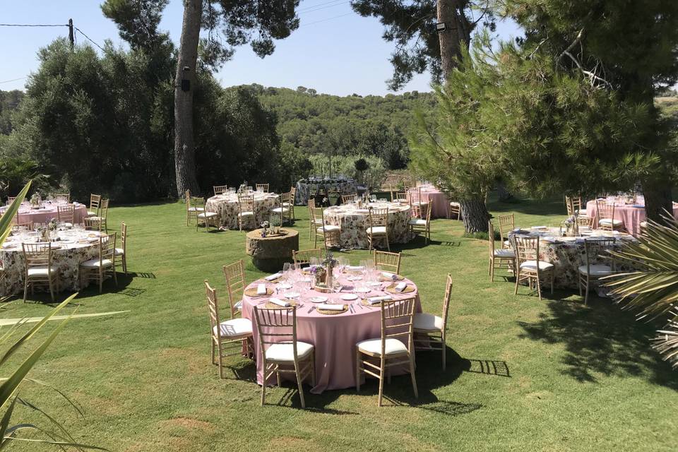 Cena en el jardin