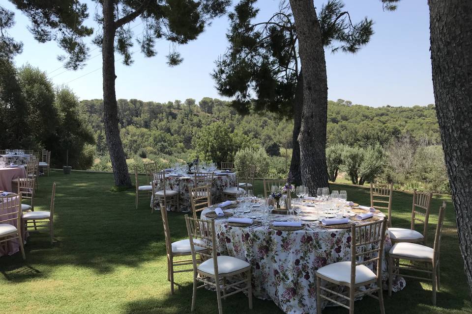 Cena en el jardin