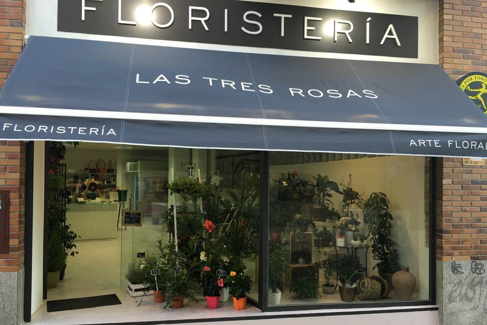 Las Tres Rosas