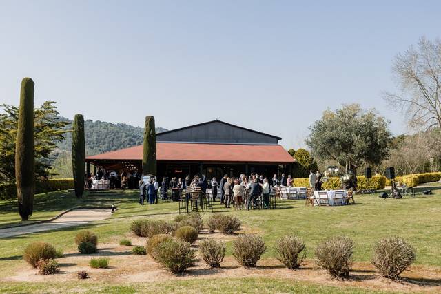 Aperitivos en el jardín